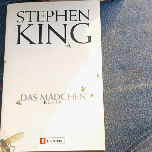 Ullstein stephen king - king, das